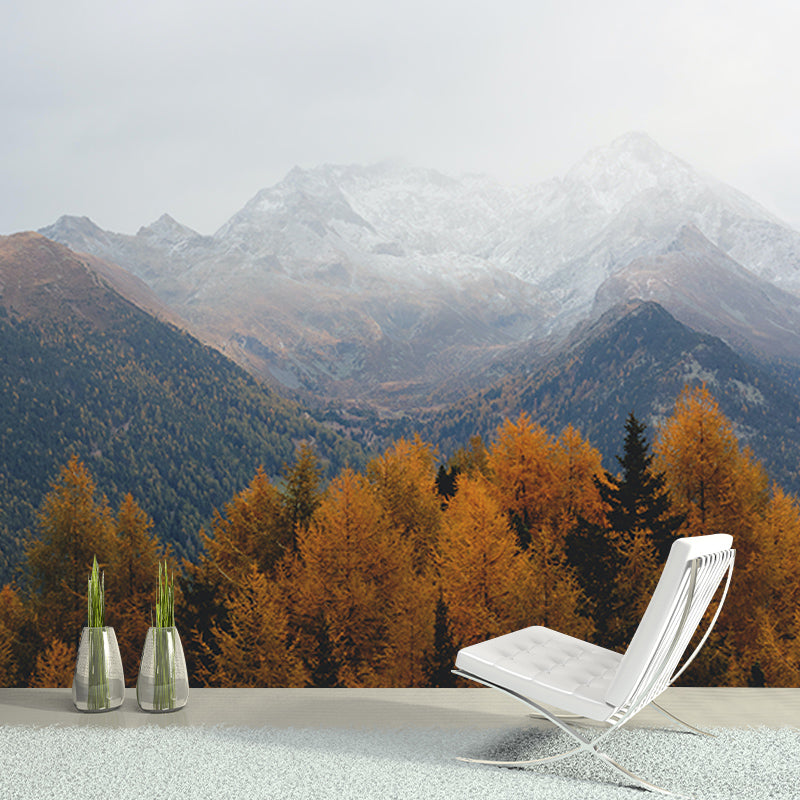 Forest Washable Stain Resistant Wall Mural Wallpaper Sitting Room Wall Mural