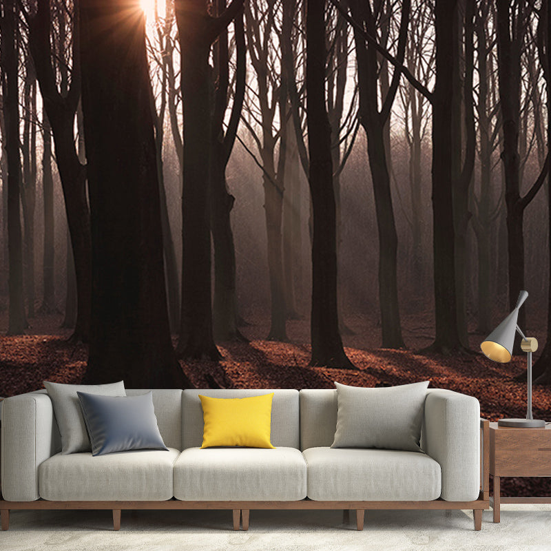 Beautiful Photography Mural Wallpaper Forest Sitting Room Wall Mural