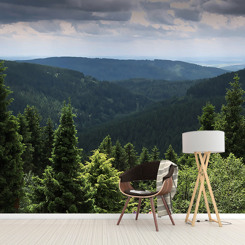 Photography Forest Stain Resistant Mural Wallpaper Sitting Room Wall Mural