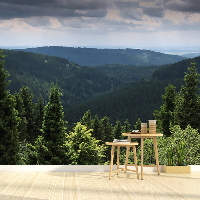 Photography Forest Stain Resistant Mural Wallpaper Sitting Room Wall Mural