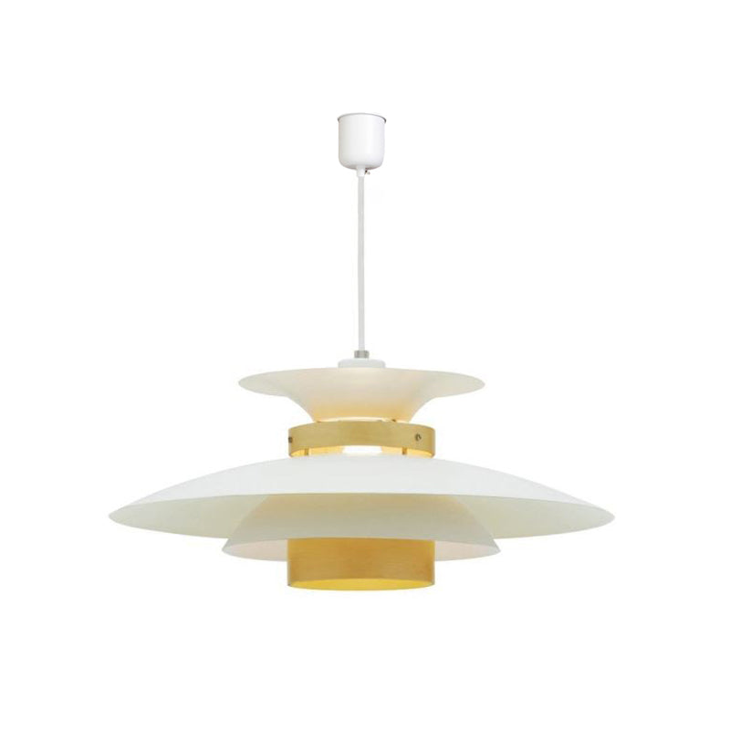 Moderne stijl hangend licht metaal hangend verlichtingsarmatuur voor zitkamer