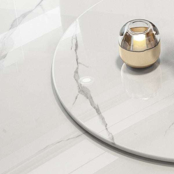 Modern Style 1/4/5/7/9 Pieces Dining Sintered Stone Dining Table Set with Metal Legs