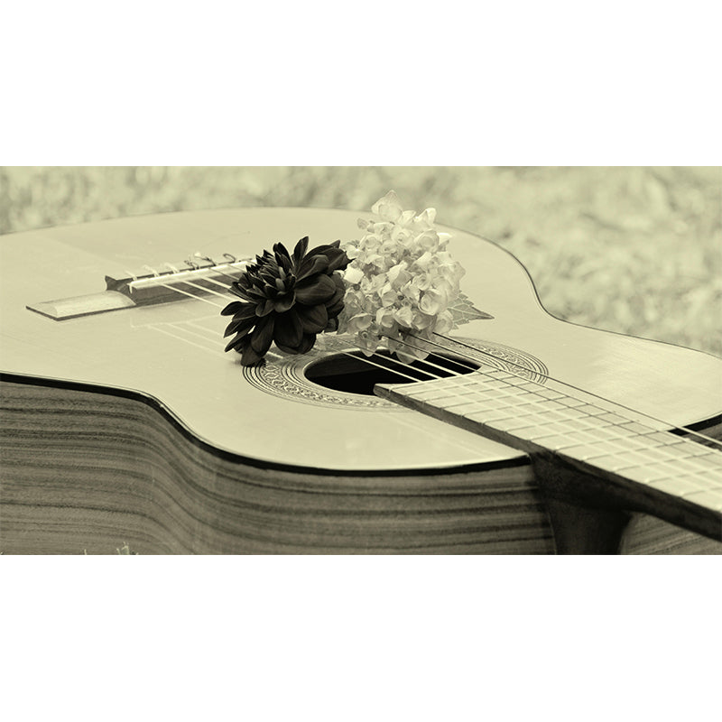 Beautiful Photography Mural Wallpaper Musical Instruments Sitting Room Wall Mural