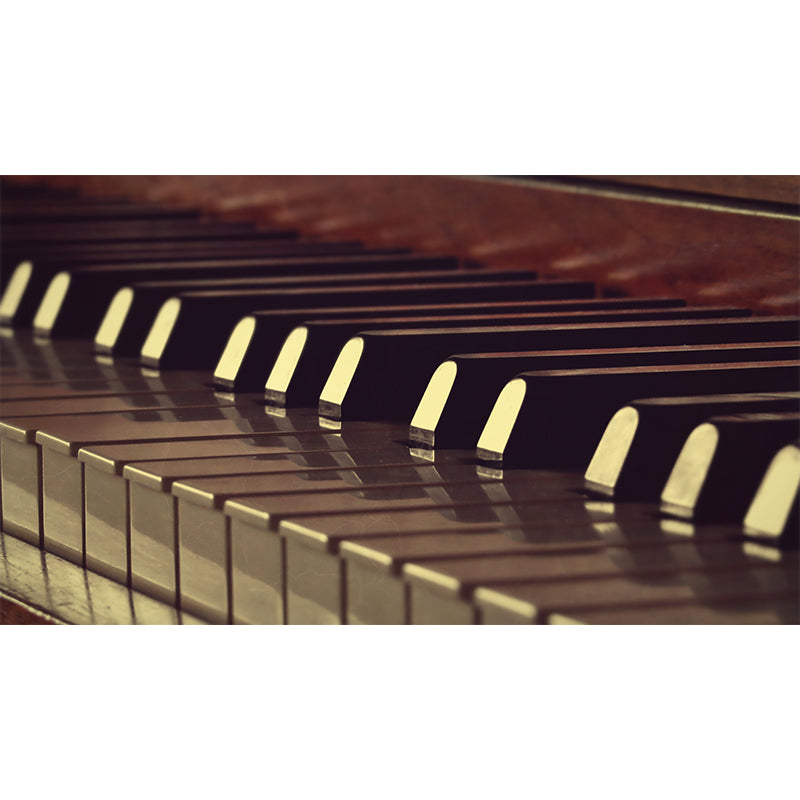 Washable Stain Resistant Wall Mural Wallpaper Musical Instruments Sitting Room Wall Mural