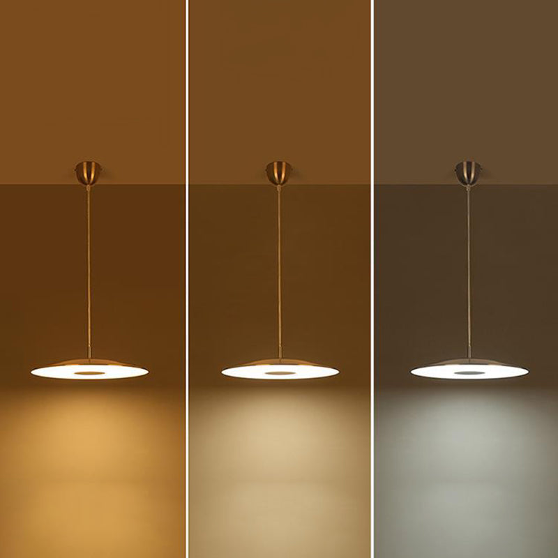 Schijfvorm metaal hangende hanglamp Noordse LED -suspensie hanglamp