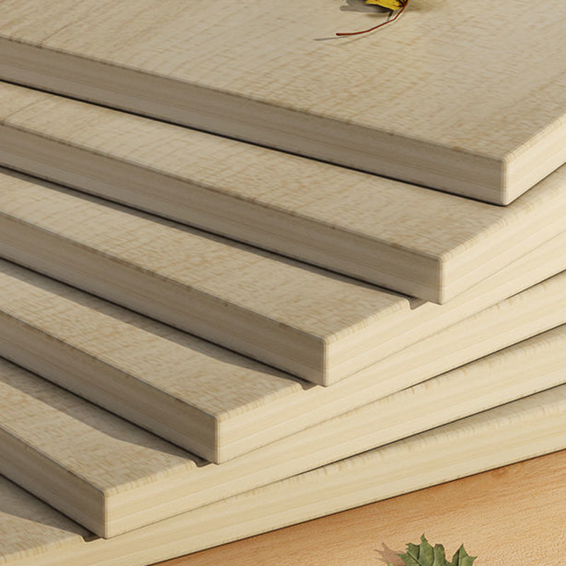 Manufactured Wood Standard Bookcase Contemporary Bookcase With Doors