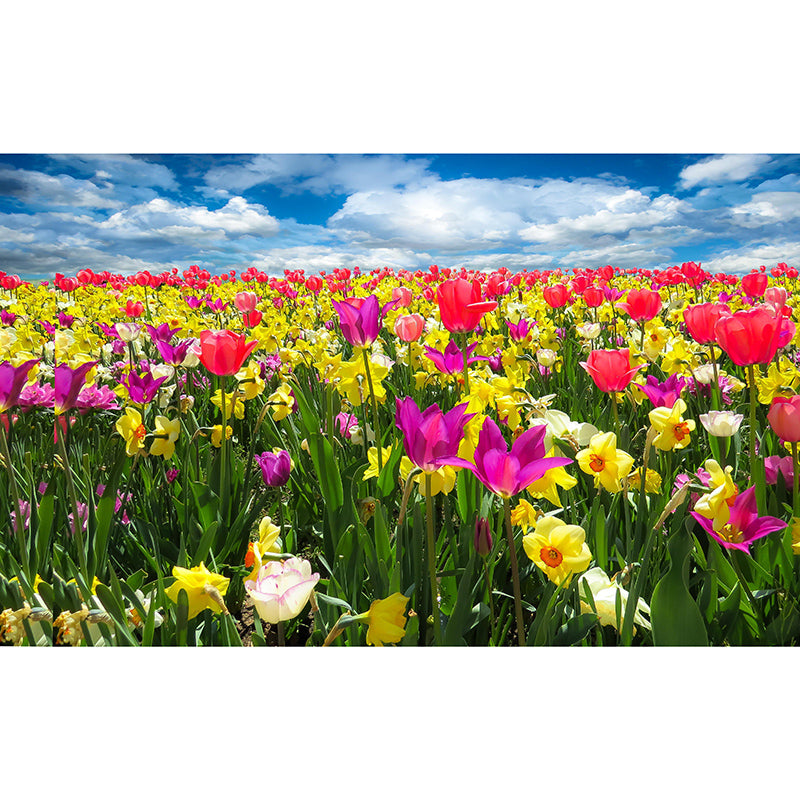 Washable Stain Resistant Mural Wallpaper City Landscape Indoor Wall Mural