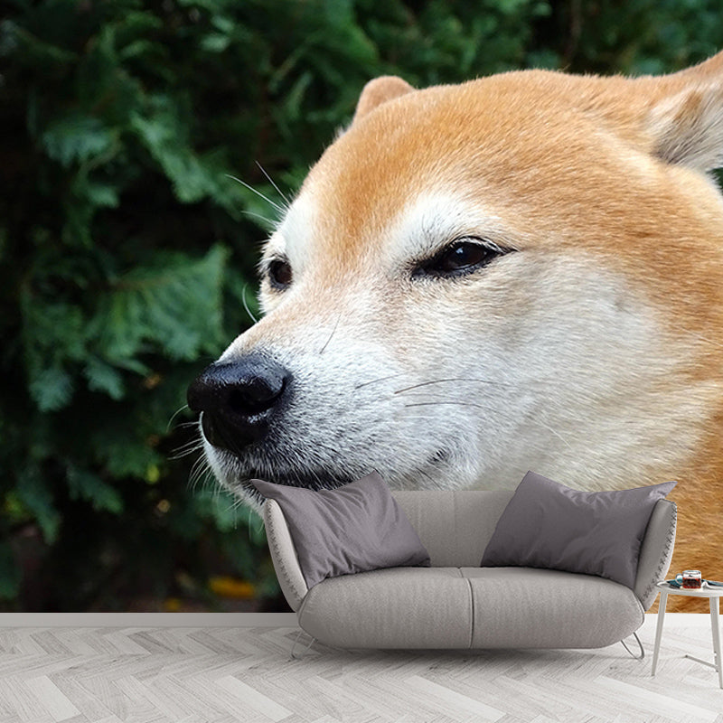 Decorative Photography Mural Wallpaper Cute Dogs Indoor Wall Mural