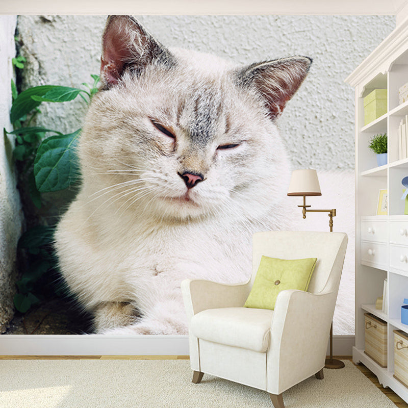 Cute Cats Photography Mural Wallpaper Environment Friendly Living Room Wall Mural
