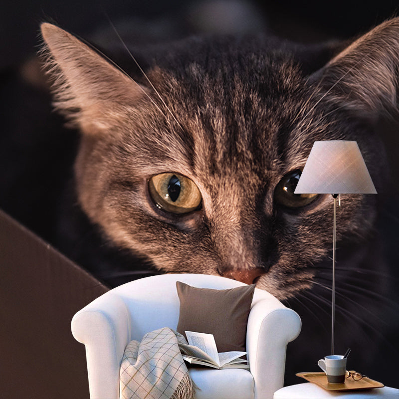 Cute Cats Photography Mural Wallpaper Environment Friendly Living Room Wall Mural