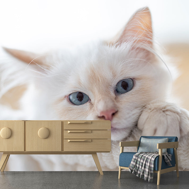 Photography Stain Resistant Mural Wallpaper Cute Cats Indoor Wall Mural