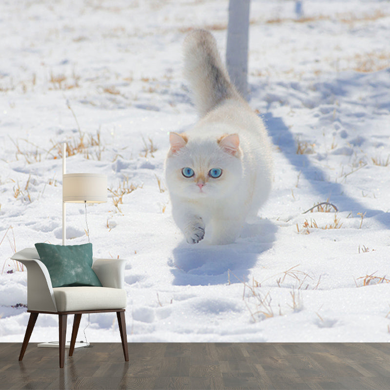 Modern Style Mural Wallpaper Cute Cats Photography Indoor Wall Mural