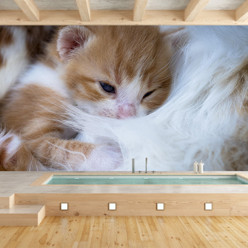 Modern Style Mural Wallpaper Cute Cats Photography Indoor Wall Mural