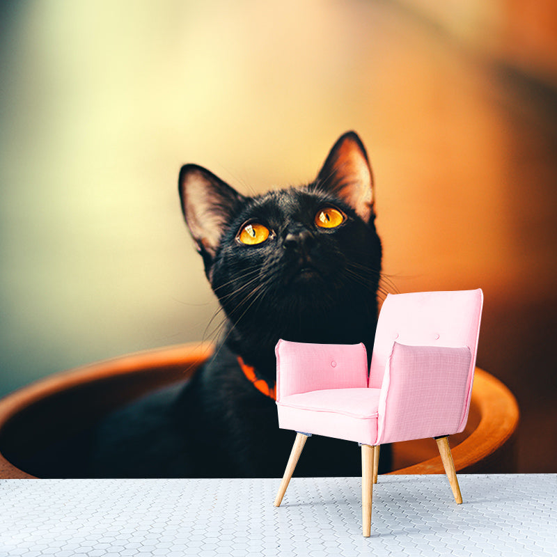 Modern Style Mural Wallpaper Cute Cats Photography Indoor Wall Mural