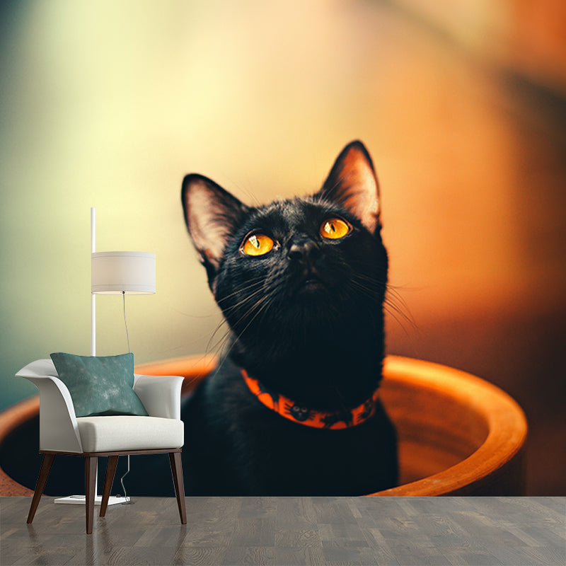 Modern Style Mural Wallpaper Cute Cats Photography Indoor Wall Mural