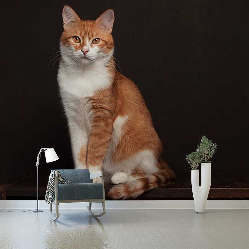 Photography Environment Friendly Mural Wallpaper Cute Cats Bedroom Wall Mural