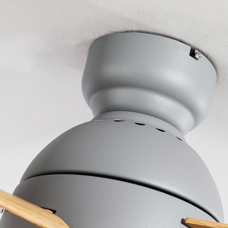 Metal Ceiling Fan Lighting Modern Style 1 Light Ceiling Fan Lamp for Living Room