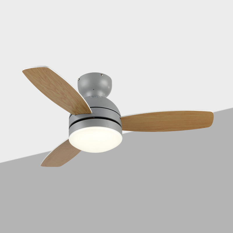 Metal Ceiling Fan Lighting Modern Style 1 Light Ceiling Fan Lamp for Bedroom