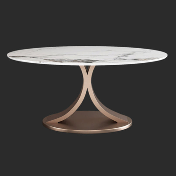 Modern 1/4/7 Pieces Dining Table Set with Sintered Stone Top Stainless Steel Dinette Set