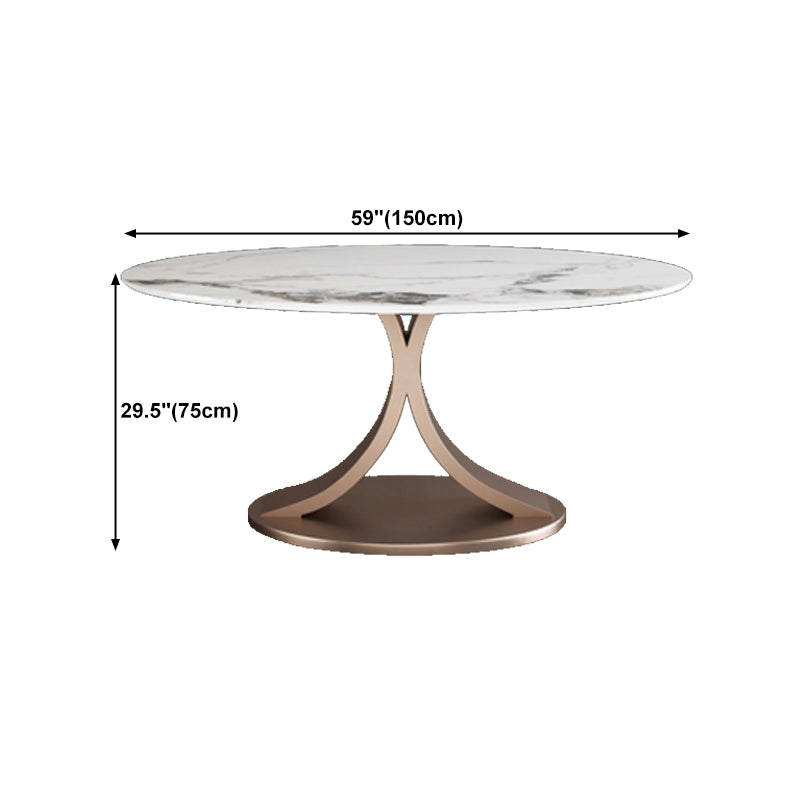 Modern 1/4/7 Pieces Dining Table Set with Sintered Stone Top Stainless Steel Dinette Set