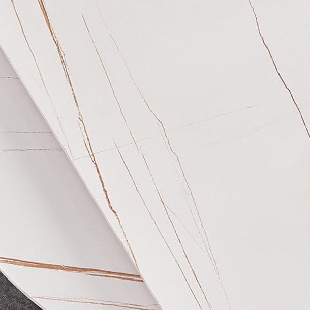 Modern 1/3/4/5/7 Pieces White Dining Table Set with Sintered Stone Top Round Dinette Set