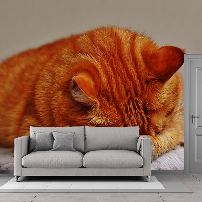 Eco-friendly Wall Mural Wallpaper Cute Cats Photography Sitting Room Wall Mural