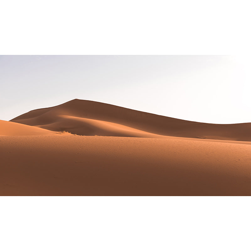 Photography Stain Resistant Mural Wallpaper Desert Landscape Sleeping Room Wall Mural