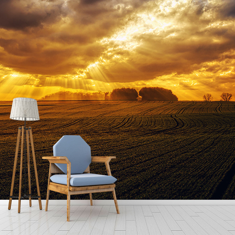 Decorative Wall Mural Wallpaper Desert Landscape Sitting Room Wall Mural