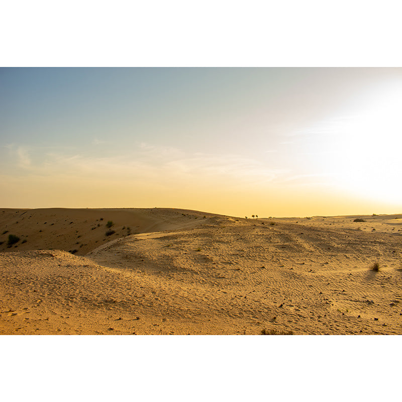 Photography Wall Mural Wallpaper Desert Landscape Sitting Room Wall Mural