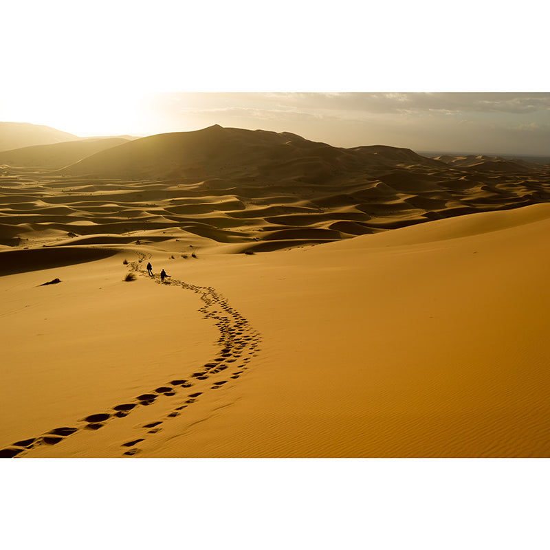 Modern Photography Mural Wallpaper Desert Landscape Indoor Wall Mural