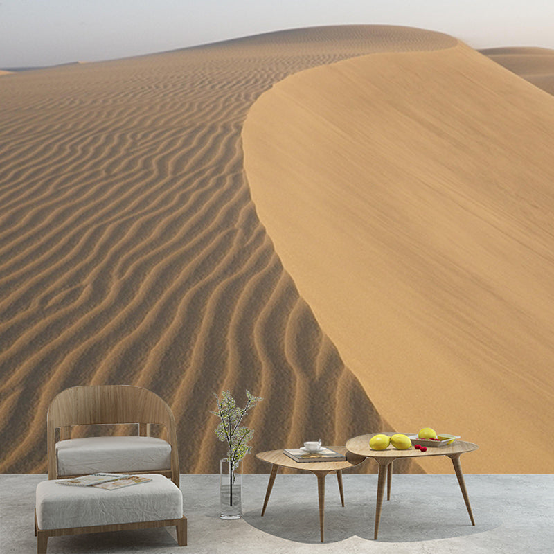 Environmental Photography Mural Wallpaper Desert Landscape Indoor Wall Mural