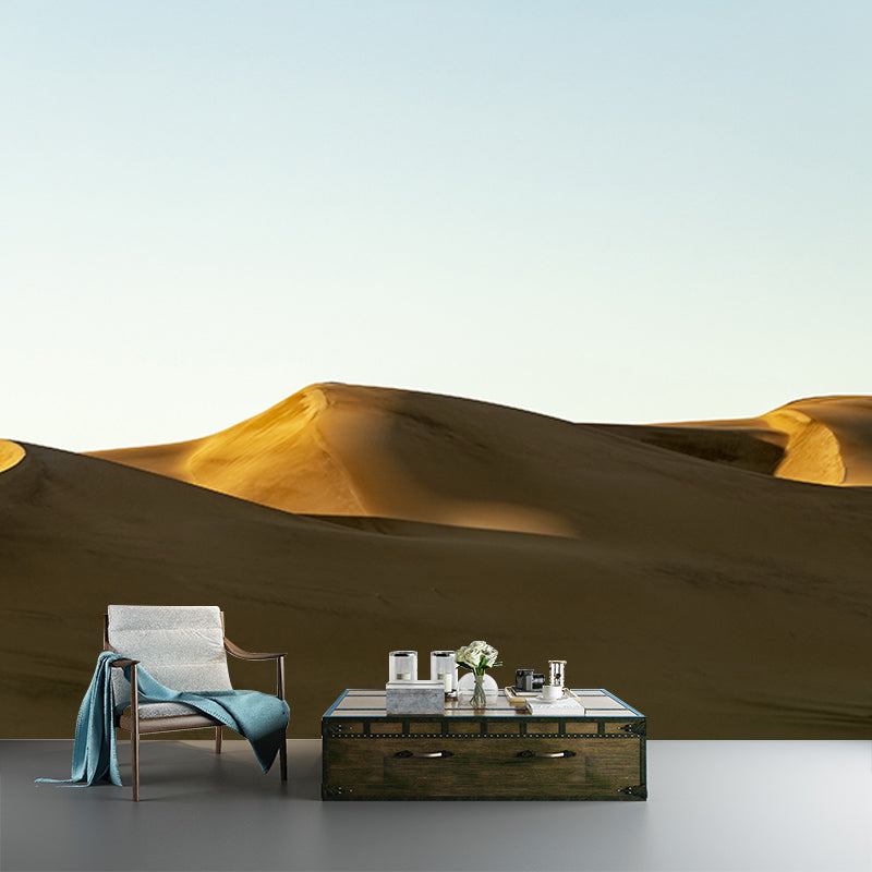 Environmental Photography Mural Wallpaper Desert Landscape Indoor Wall Mural