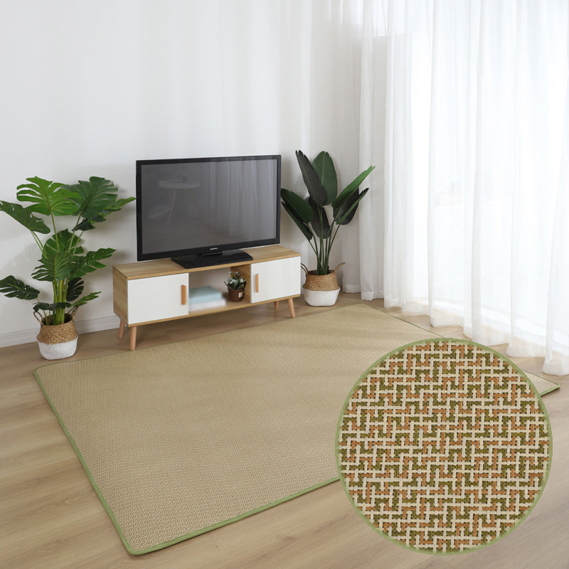 Brown Sisal Rug Polyester Countryside Rug Washable Rug for Living Room