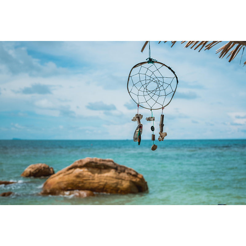 Photography Stain Resistant Wall Mural Wallpaper Dream Catcher Sitting Room Wall Mural