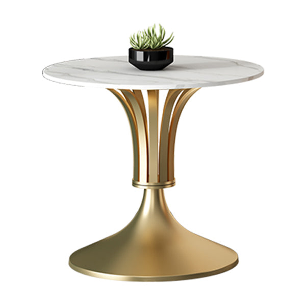 Metal Traditional Luxury Round Table Sintered Stone Indoor Table with Tulip Base