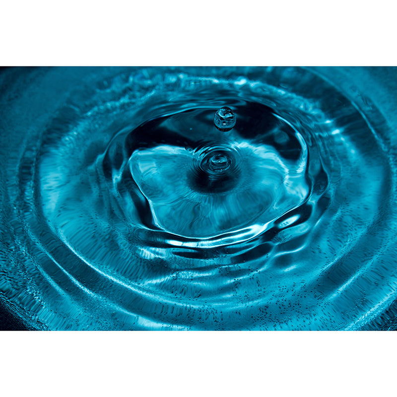 Beautiful Photography Mural Wallpaper Abstract Style Indoor Wall Mural