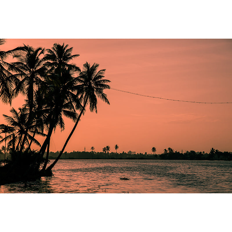 Tropical Landscape Resistant Mural Wallpaper Environment Friendly Sleeping Room Wall Mural