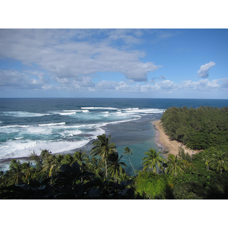 Photography Wall Mural Wallpaper Tropical Landscape Sitting Room Wall Mural