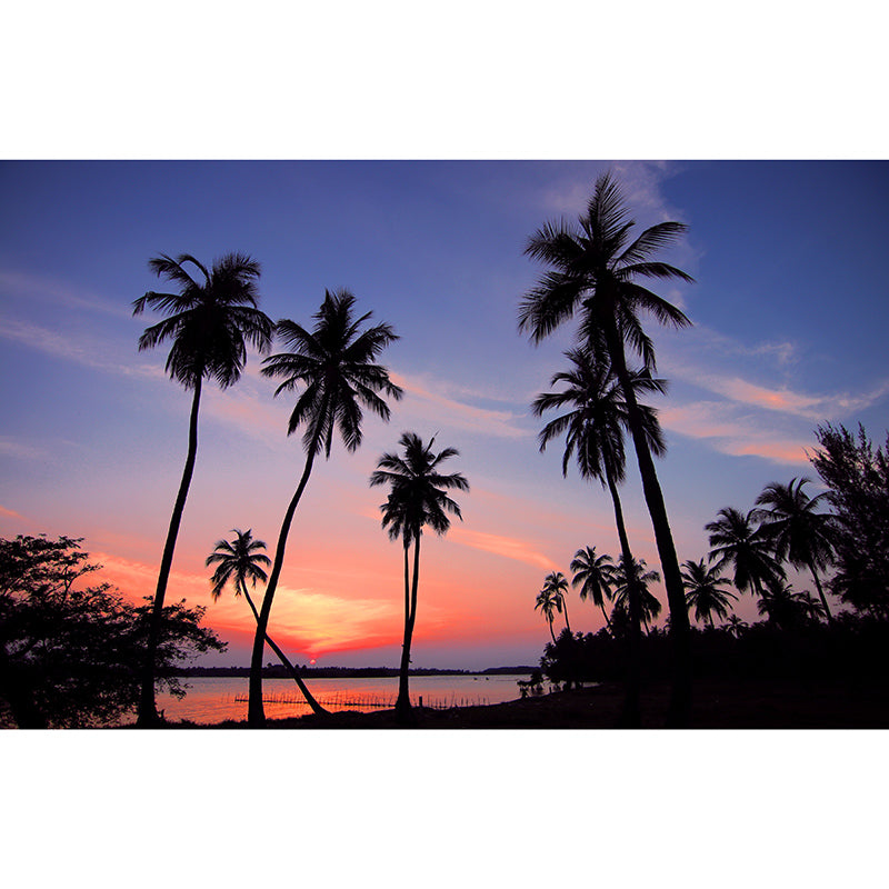 Photography Stain Resistant Wallpaper Tropical Scenery Living Room Wall Mural