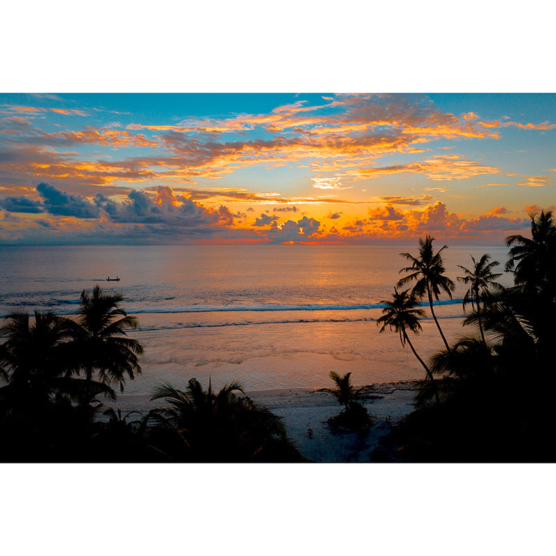 Washable Photography Mural Wallpaper Tropical Scenery Indoor Wall Mural