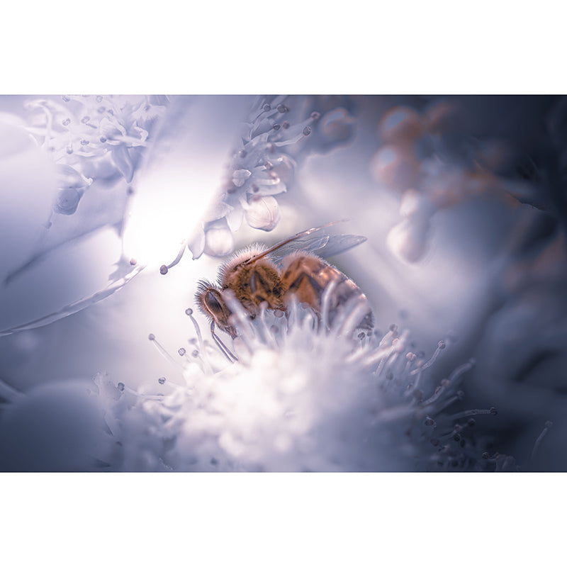 Photography Stain Resistant Mural Wallpaper Flowers Living Room Wall Mural