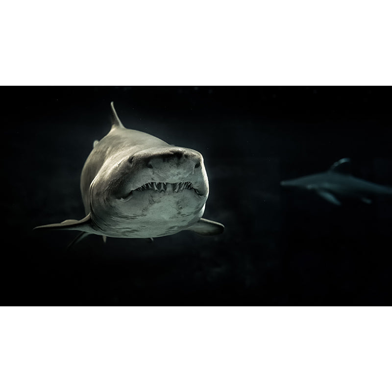 Photography Stain Resistant Mural Wallpaper Marine Organism Sleeping Room Wall Mural