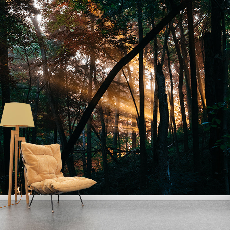 Washable Stain Resistant Mural Wallpaper Quiet Forest Indoor Wall Mural