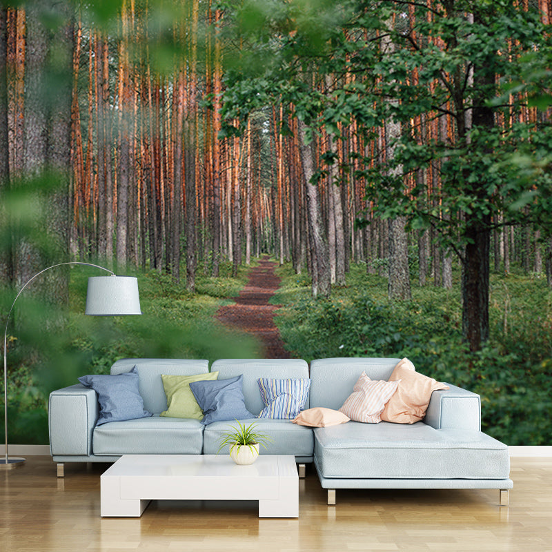 Washable Stain Resistant Mural Wallpaper Quiet Forest Indoor Wall Mural