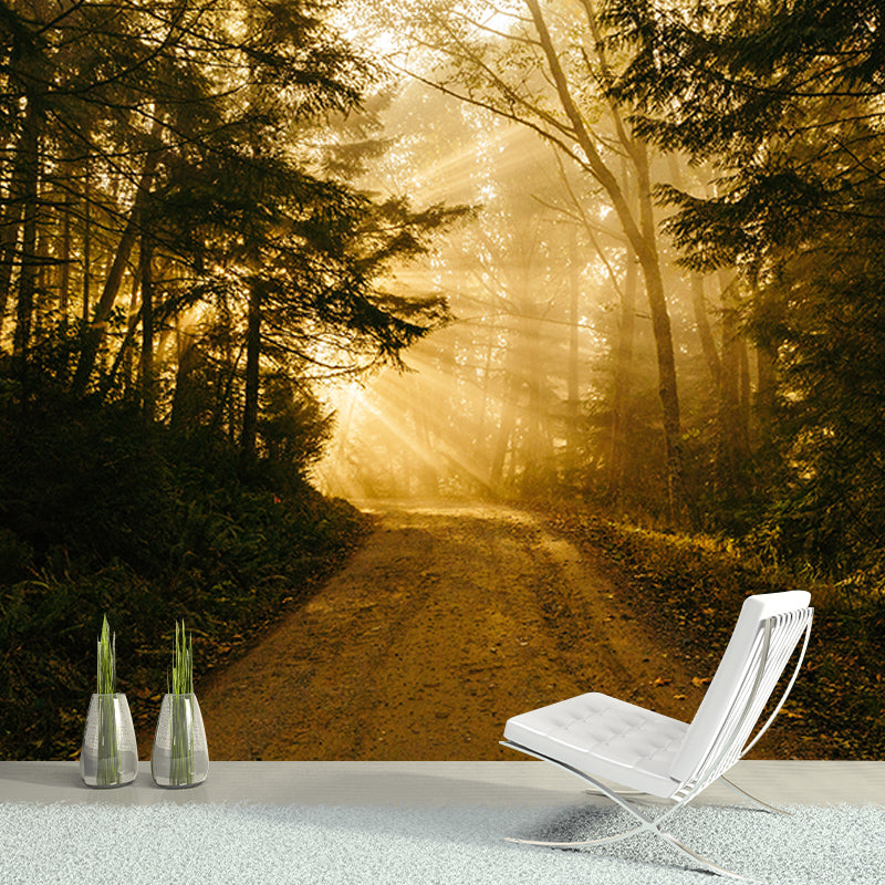 Quiet Forest Photography Mural Wallpaper Decorative Bedroom Wall Mural