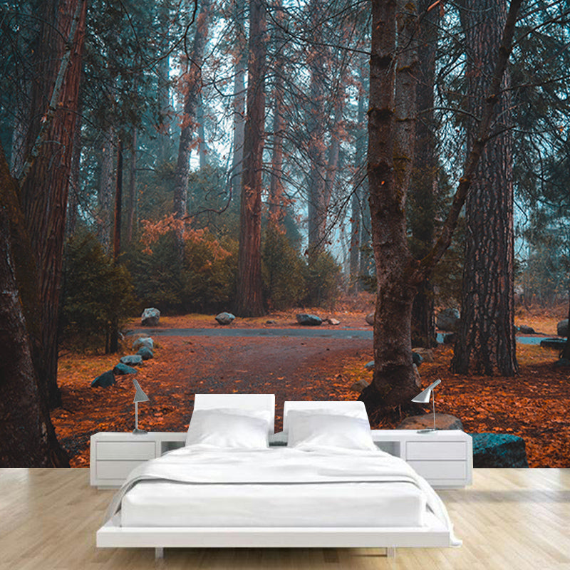 Quiet Forest Photography Mural Wallpaper Decorative Bedroom Wall Mural