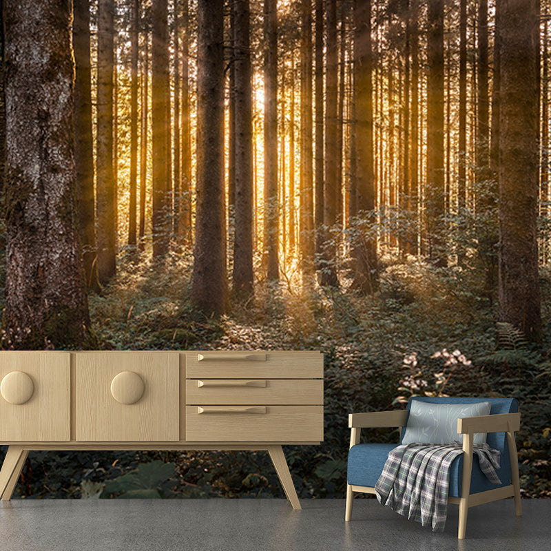 Environment Friendly Resistant Mural Wallpaper Quiet Forest Living Room Wall Mural
