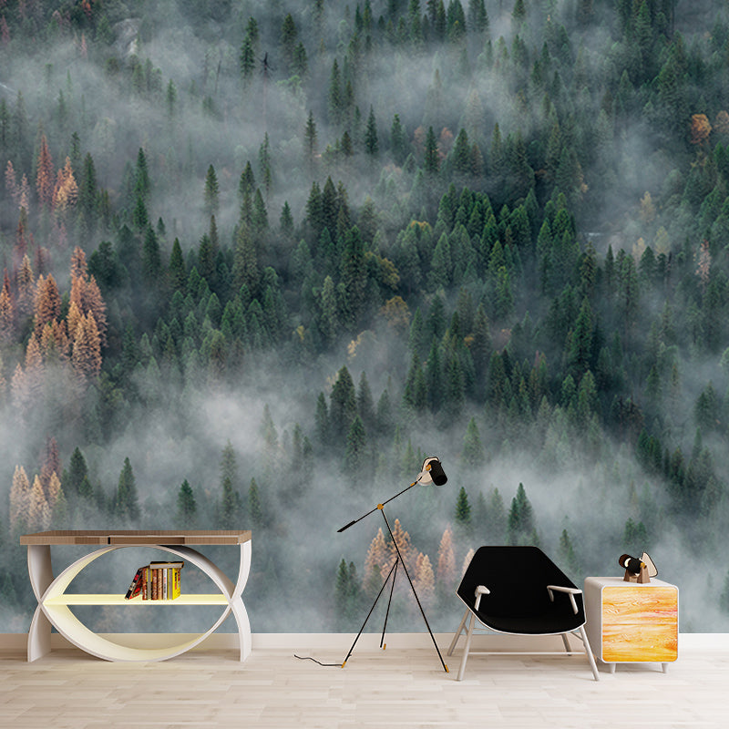 Photography Stain Resistant Wall Mural Wallpaper Quiet Forest Sitting Room Wall Mural
