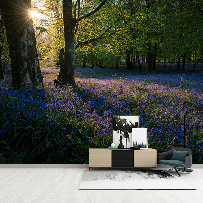 Photography Stain Resistant Wall Mural Wallpaper Quiet Forest Sitting Room Wall Mural