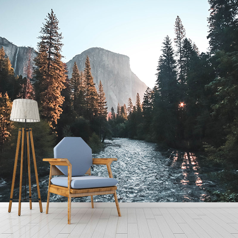 Photography Stain Resistant Wall Mural Wallpaper Quiet Forest Sitting Room Wall Mural